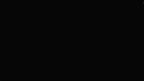 Vinny's Experience