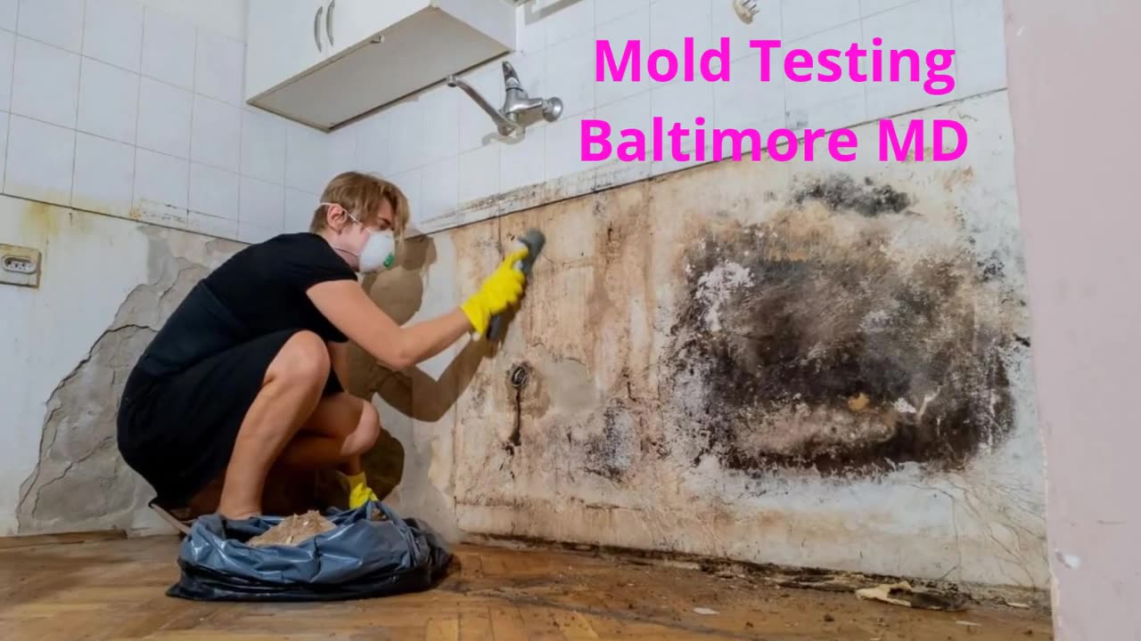 Charm City Mold Inspections - Best Mold Testing in Baltimore, MD