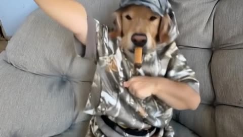 Dog lovers