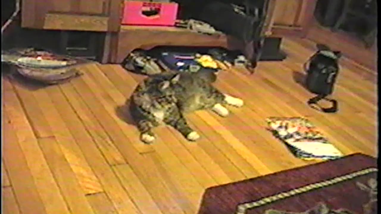 2004-VA-Mocha-Latte-2