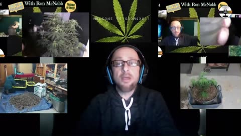 Grow420 Today