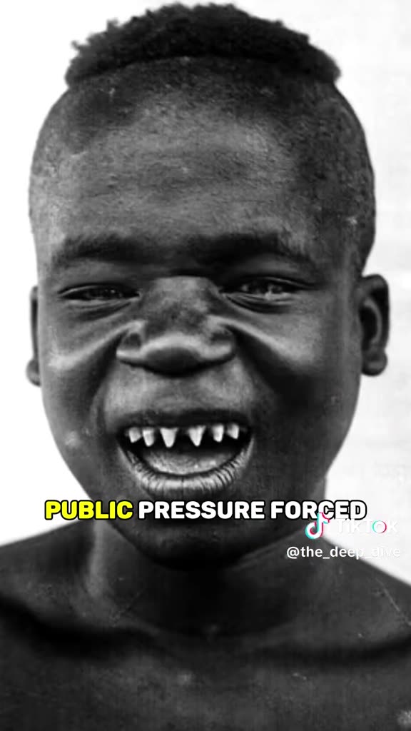 THE DARK HISTORY OF THE BRONZ ZOO