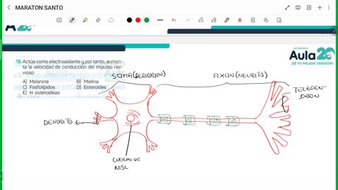 AULA 20 REPASO 2026 - 1 | Seminario | Biología