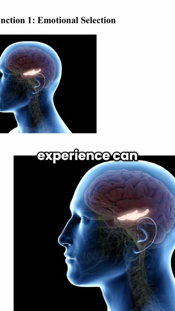 3 Memory Secrets Revealed Emotional Selection | Dr. Conrad Vine