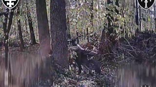 💥 In the Lyman direction, soldiers of the Signum unit found and destroyed Russian positions,