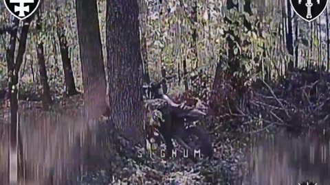 💥 In the Lyman direction, soldiers of the Signum unit found and destroyed Russian positions,