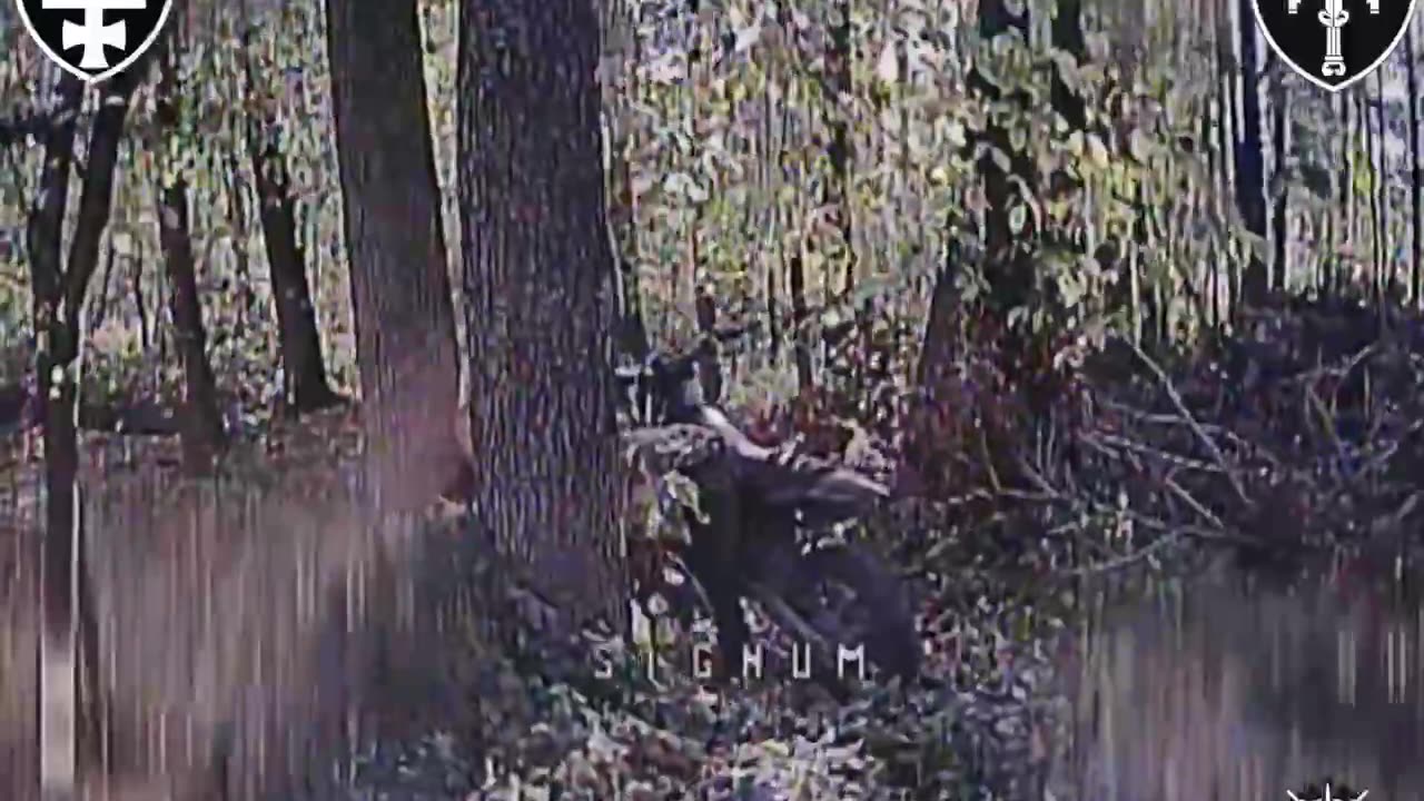 💥 In the Lyman direction, soldiers of the Signum unit found and destroyed Russian positions,