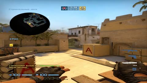 《1v5 ACE CLUTCH! The Enemy Team Went Silent》
