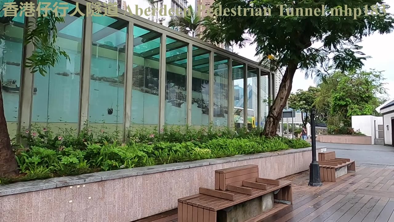 aberdeen pedestrial tunnel #香港仔行人隧道 mhp183 jun2020