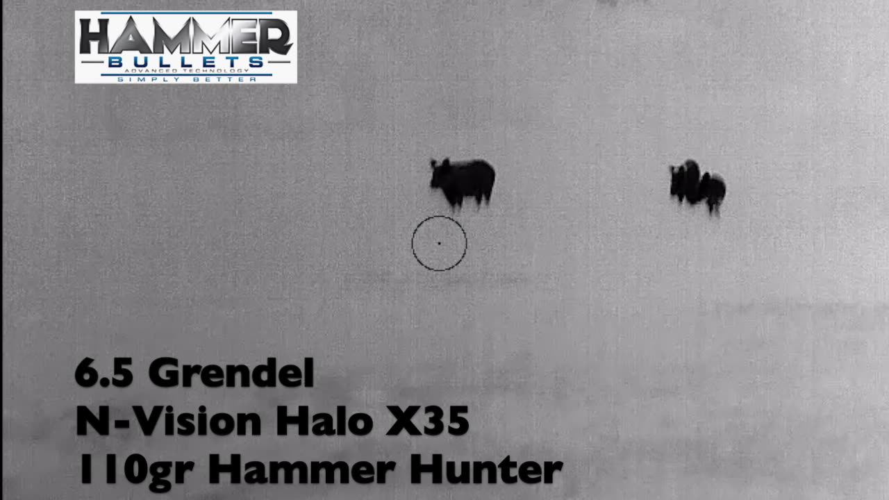 Texas Hill Country Hog Hunt