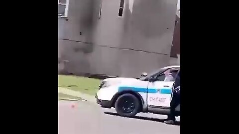 The woman found not guilty by reason of insanity after running over a Chicago police