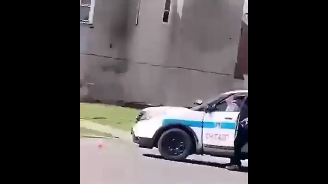 The woman found not guilty by reason of insanity after running over a Chicago police