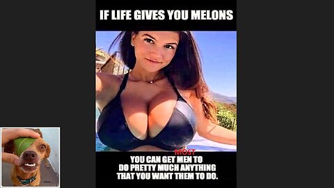 Memes That Will 99.0278% Make You Laugh. (e502)