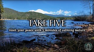 Reset Your Peace: 5 Minutes of Relaxing Nature Sounds 🌲🧘‍♀️🏔️ | Sounds of Nature