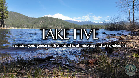 "Let the Lake Speak — 5 Peaceful Minutes Alone"🌲🏞️ #meditation #lake #peace #peaceful #mindfulness