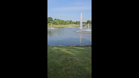 My Peaceful Place - What are They so Afraid of?