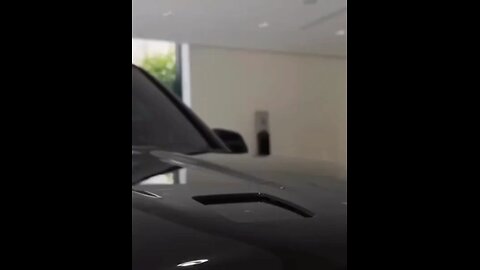Dog car