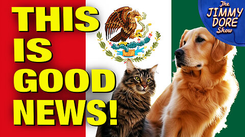 Last Mexican State OUTLAWS Animal Abuse!