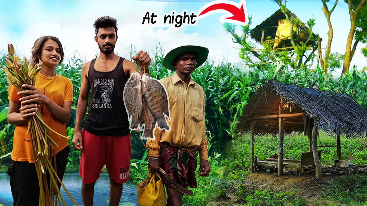 We Found a Real Survival Man Deep in the Wild 🌲 |Treehouse Night & Wild Cooking