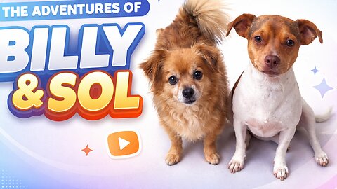 Billy and Sol's Funniest Moments: You Won't Stop Laughing!