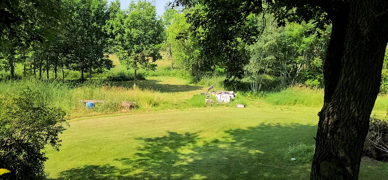 Sunday Funday Mower Games