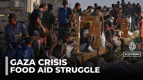 Gaza: Searching for Food Becomes a Death Journey