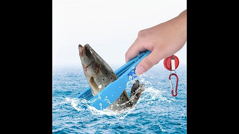 Multi-Functional Portable Fishing Clamp