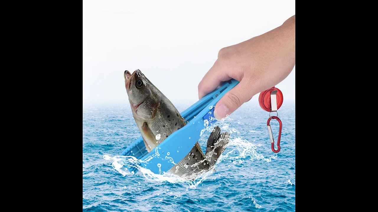 Multi-Functional Portable Fishing Clamp