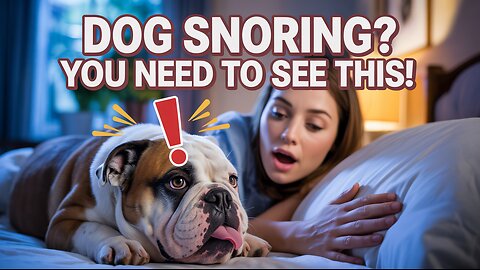 Is It Bad If My Dog Snores? What It REALLY Means!