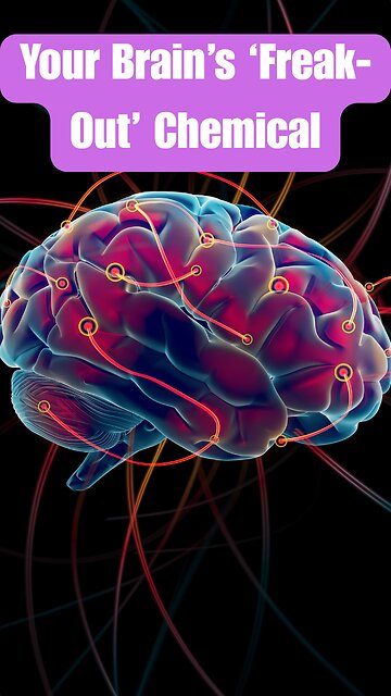 Glutamate Overload: The Neurotransmitter Behind Panic & Overthinking