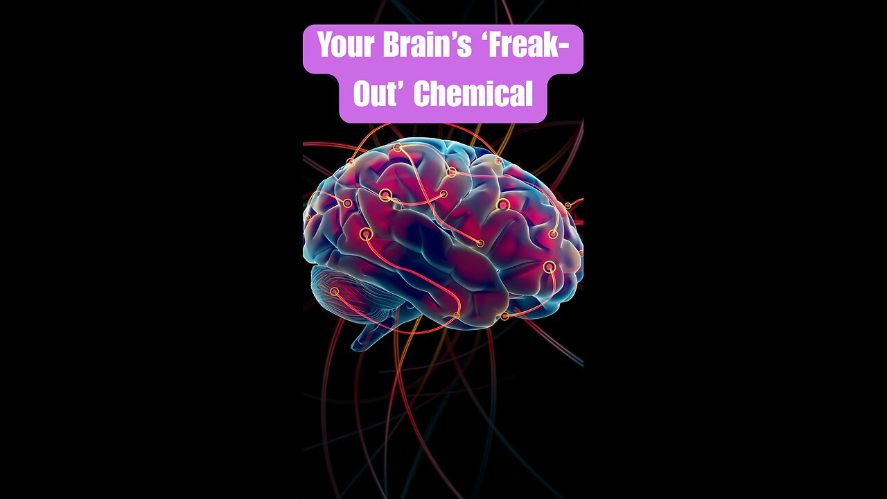 Glutamate Overload: The Neurotransmitter Behind Panic & Overthinking