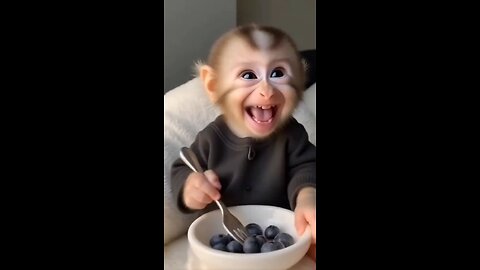 bandar eating