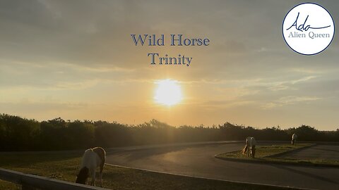 Ada Alien Queen • Earth Heart Beats • Take #00023 • Wild Horse Trinity