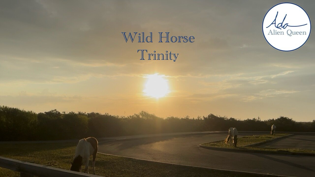 Ada Alien Queen • Earth Heart Beats • Take #00023 • Wild Horse Trinity