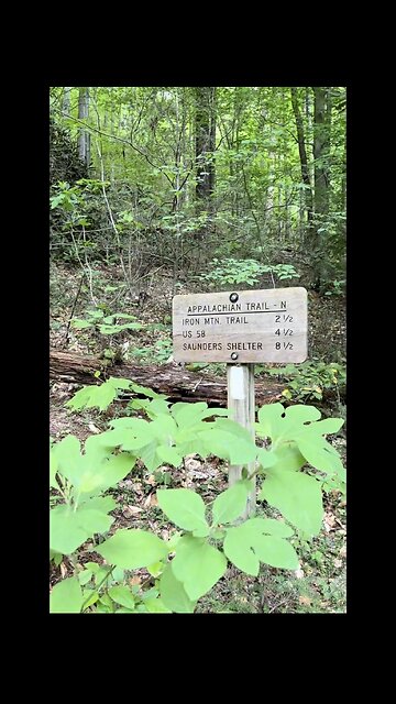 Damascus Loop Trail! #yeshua #jesus #hiking #nature #trail #appalachiantrail