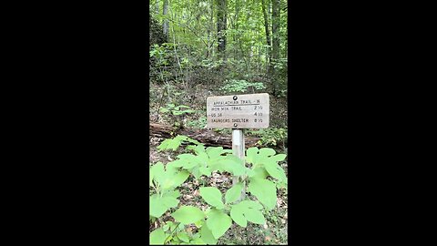 Damascus Loop Trail! #yeshua #jesus #hiking #nature #trail #appalachiantrail
