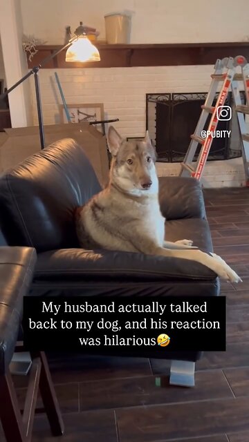 Husband has argument with dog