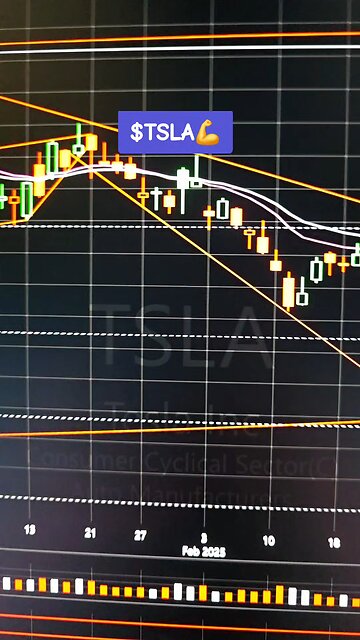 $TSLA💪
