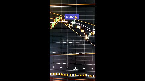 $TSLA💪