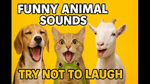 Hilarious Animal Sounds Compilation: Cute & Funny Moments!
