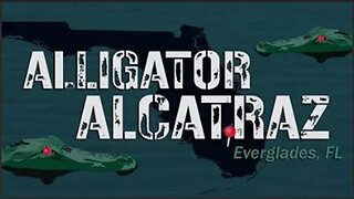 Alligator🐊🐊 Alcatraz| Is This Really for The Migrants?