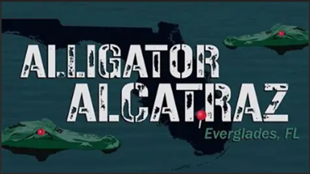 Alligator🐊🐊 Alcatraz| Is This Really for The Migrants?