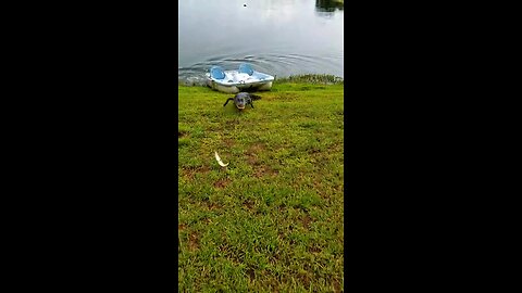You Won’t Believe This HIDDEN Fishing Spot! 🎣🐟 #funny #shorts