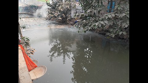 A story of dead lake