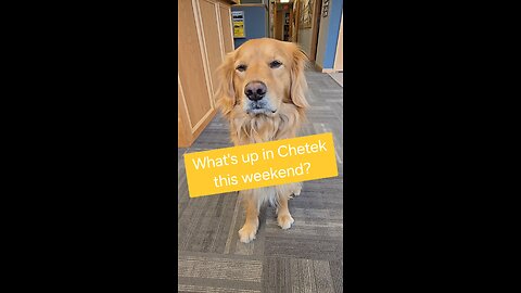 What's up in Chetek this weekend?