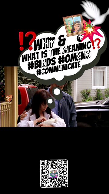 [Ask|Find|Know] The☯️Power of Universal☮️Language #omens | Birds, Behavior, & Cardinal Directions