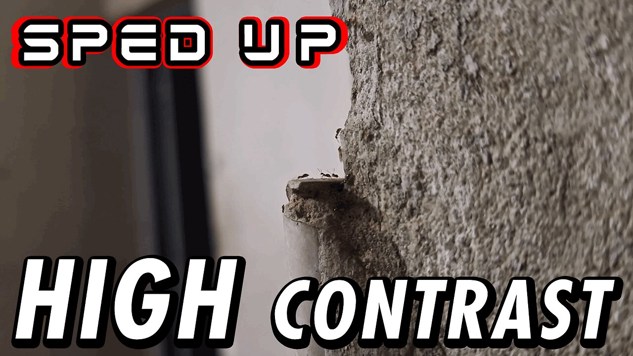 ASMR | A white background view from the "cliff", watching the ants come and go - Sped up
