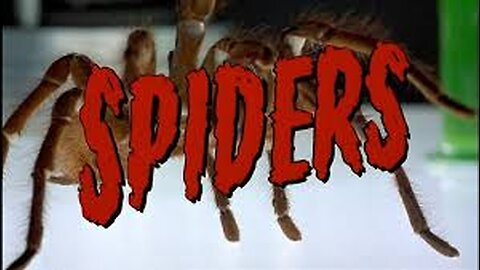 Spiders - (Sci Fi / Horror) - 2000