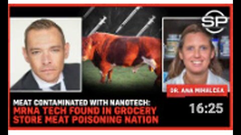 "Nanotech-Contaminated Meat Discovered in Grocery Stores, May be Poisoning the Nation"