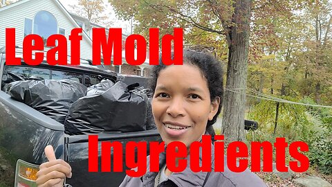 Fall Chore Priority, Collecting Leaves